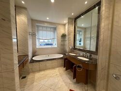 Ardmore Park (D10), Condominium #470112491
